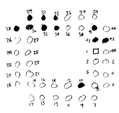 pin number diagram